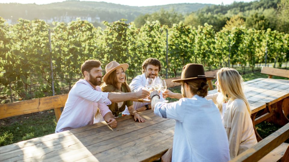 enoturismo, que es enoturismo, enoturismo ejemplos, actividades enoturismo