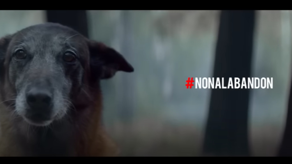 mensaje publicitario